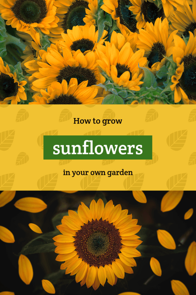 Gardening Tips Pinterest Post Maker