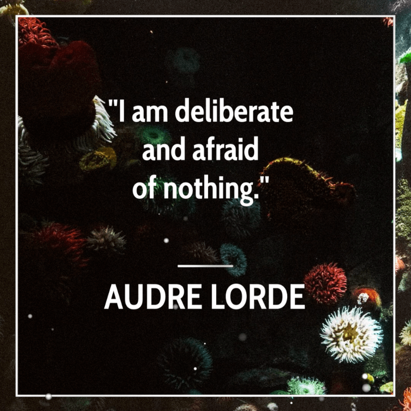 Instagram Video Template For An Animated Quote